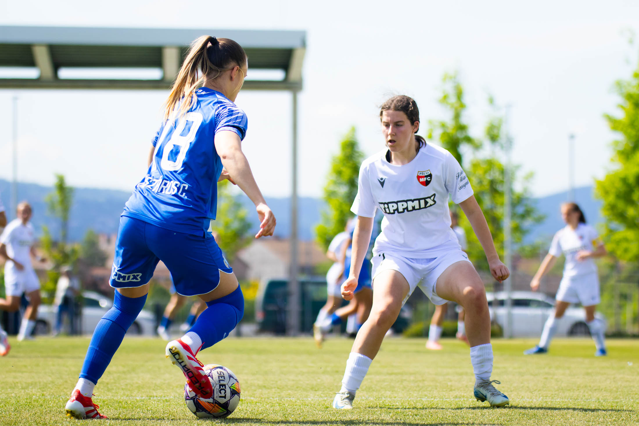 Képgaléria: MTK Budapest-PMFC 7-0